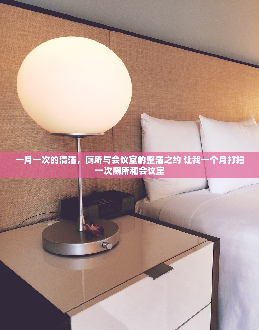 一月一次的清洁，厕所与会议室的整洁之约 让我一个月打扫一次厕所和会议室