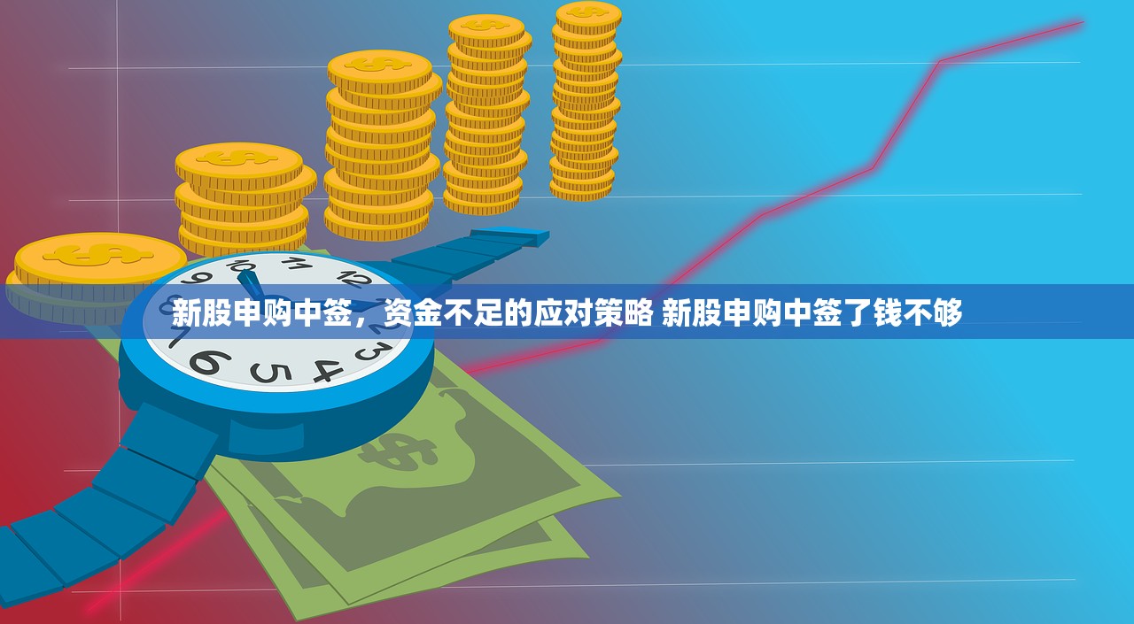 新股申购中签，资金不足的应对策略 新股申购中签了钱不够