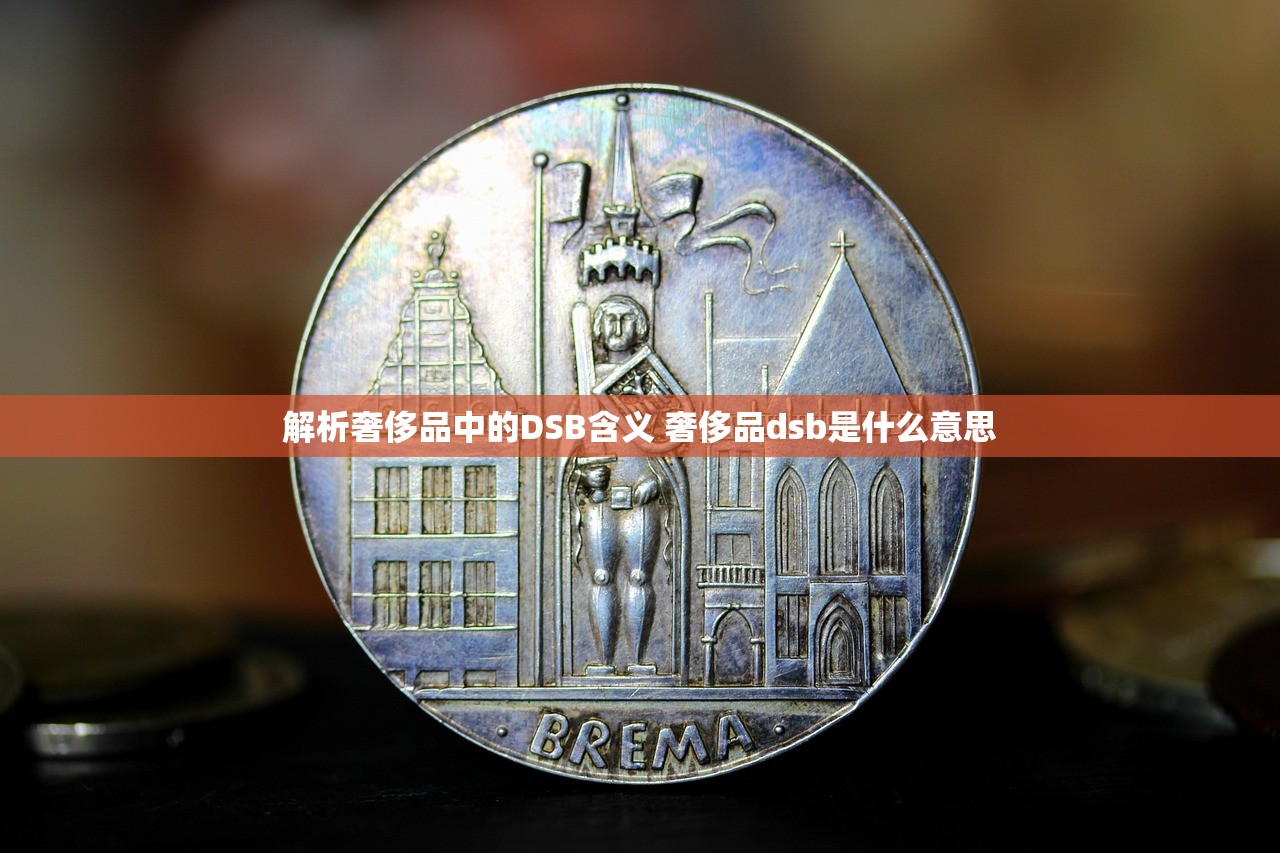 解析奢侈品中的DSB含义 奢侈品dsb是什么意思