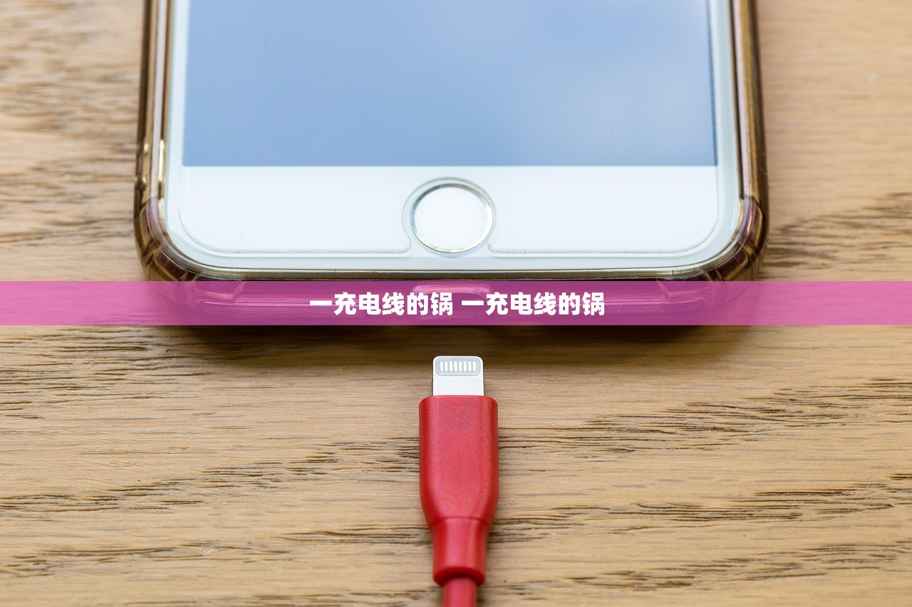 一充电线的锅 一充电线的锅