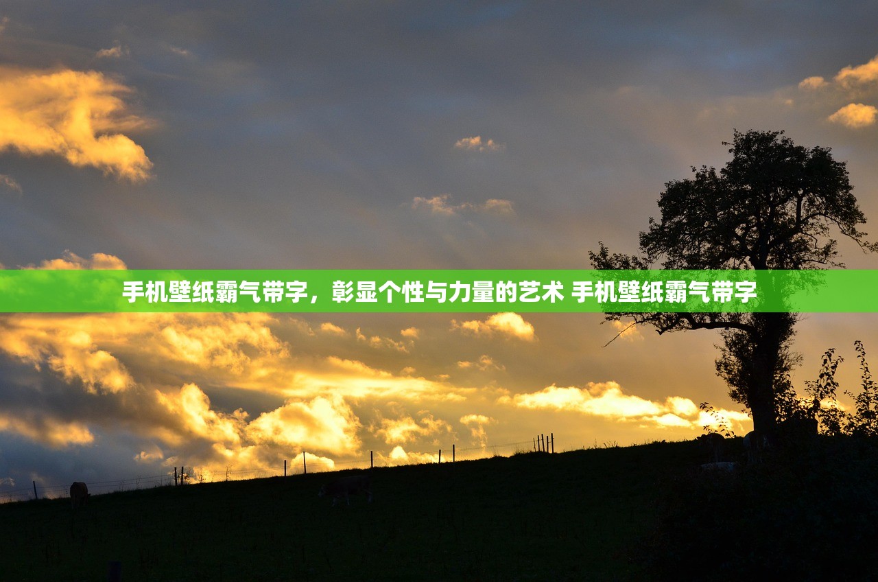 手机壁纸霸气带字，彰显个性与力量的艺术 手机壁纸霸气带字