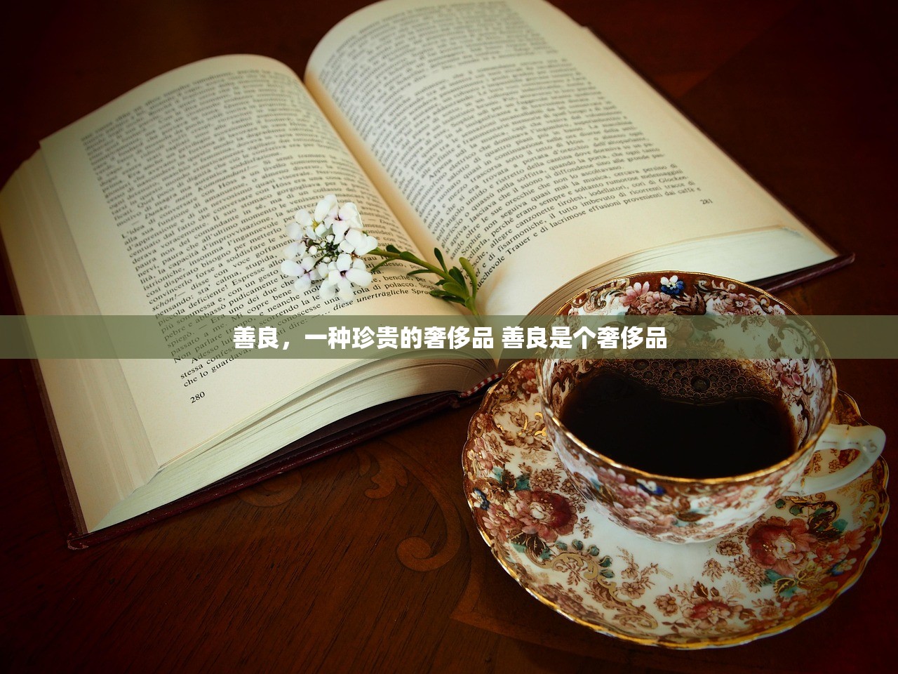 善良，一种珍贵的奢侈品 善良是个奢侈品