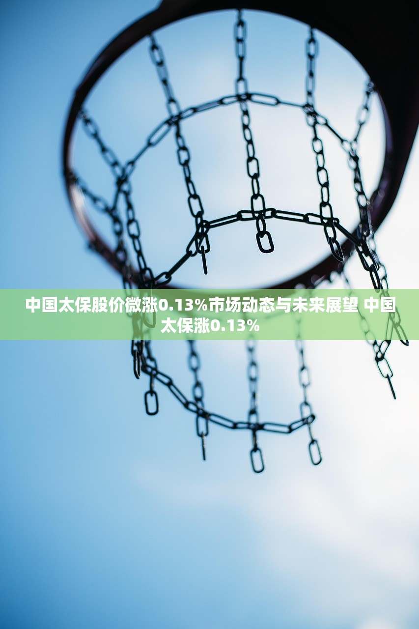 中国太保股价微涨0.13%市场动态与未来展望 中国太保涨0.13%