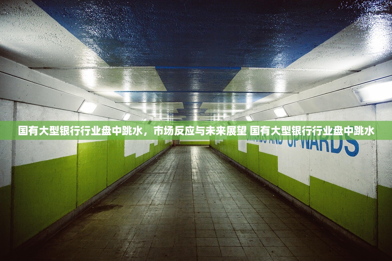 国有大型银行行业盘中跳水，市场反应与未来展望 国有大型银行行业盘中跳水