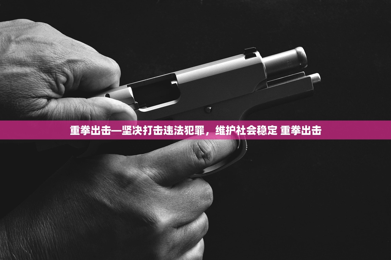 重拳出击—坚决打击违法犯罪，维护社会稳定 重拳出击