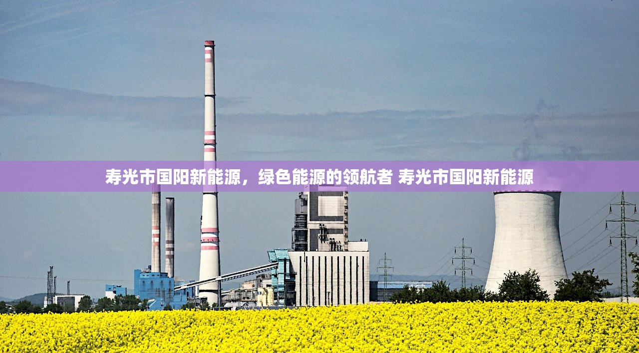 寿光市国阳新能源，绿色能源的领航者 寿光市国阳新能源