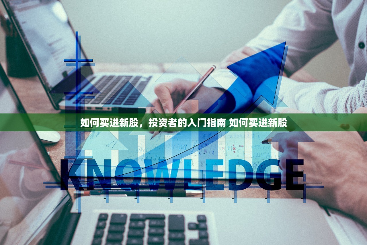 如何买进新股，投资者的入门指南 如何买进新股