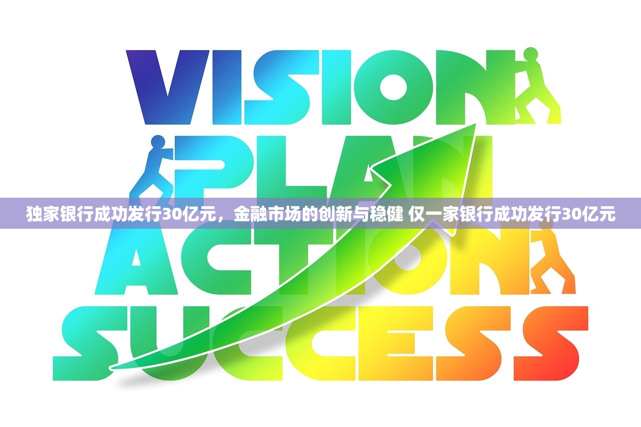 独家银行成功发行30亿元，金融市场的创新与稳健 仅一家银行成功发行30亿元