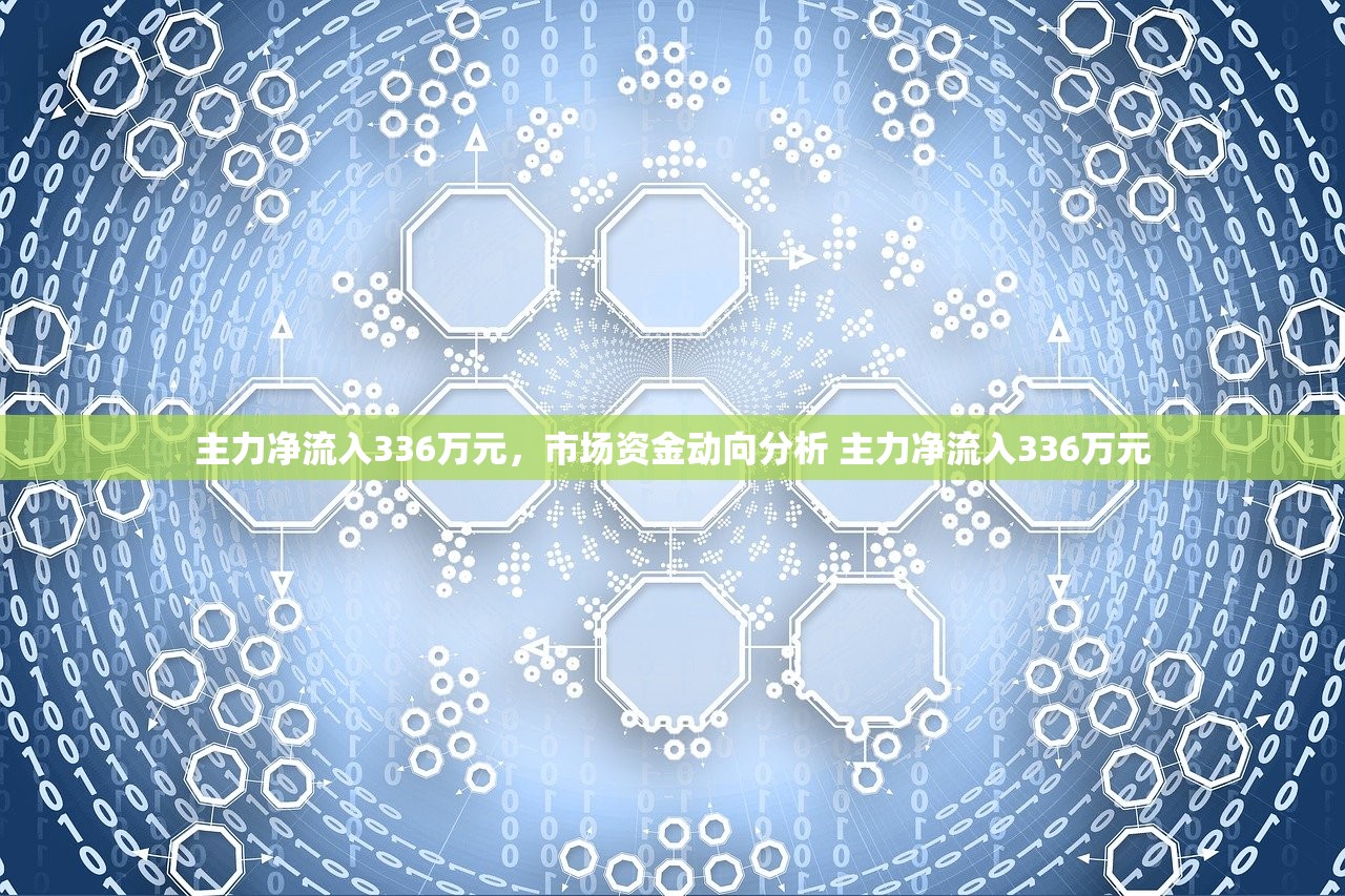 主力净流入336万元，市场资金动向分析 主力净流入336万元