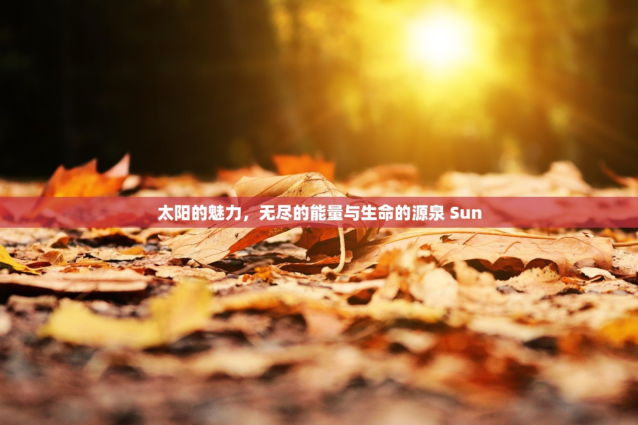 太阳的魅力，无尽的能量与生命的源泉 Sun