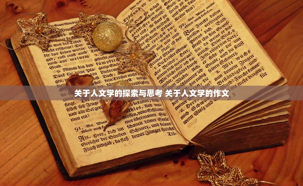 关于人文学的探索与思考 关于人文学的作文