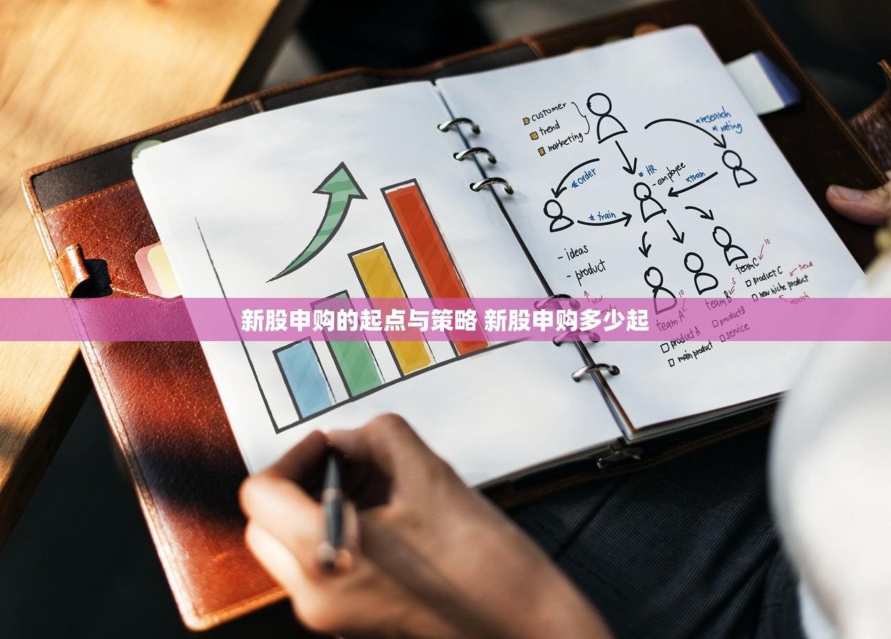 新股申购的起点与策略 新股申购多少起
