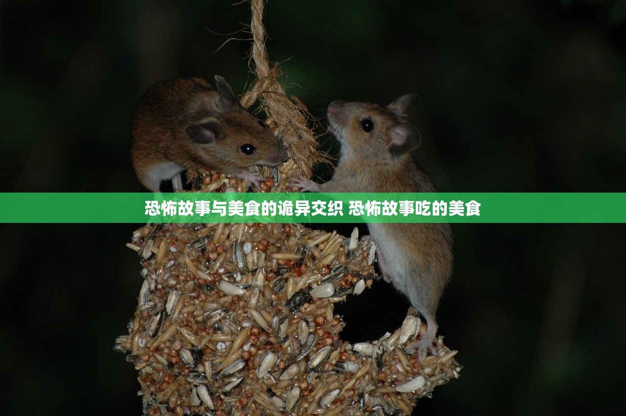 恐怖故事与美食的诡异交织 恐怖故事吃的美食