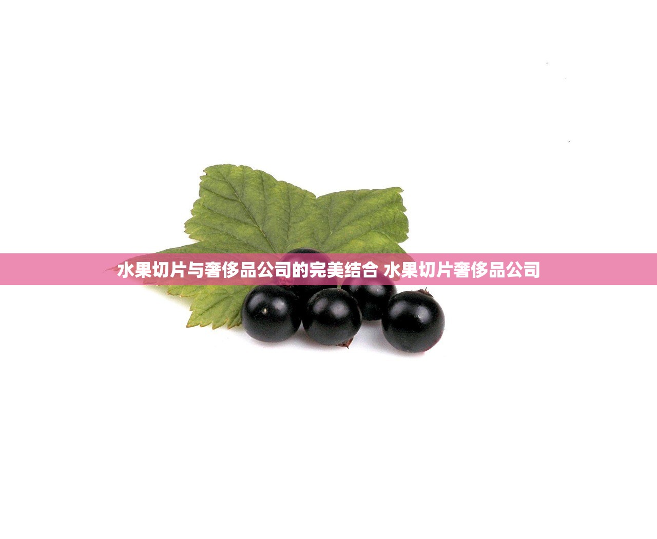 水果切片与奢侈品公司的完美结合 水果切片奢侈品公司