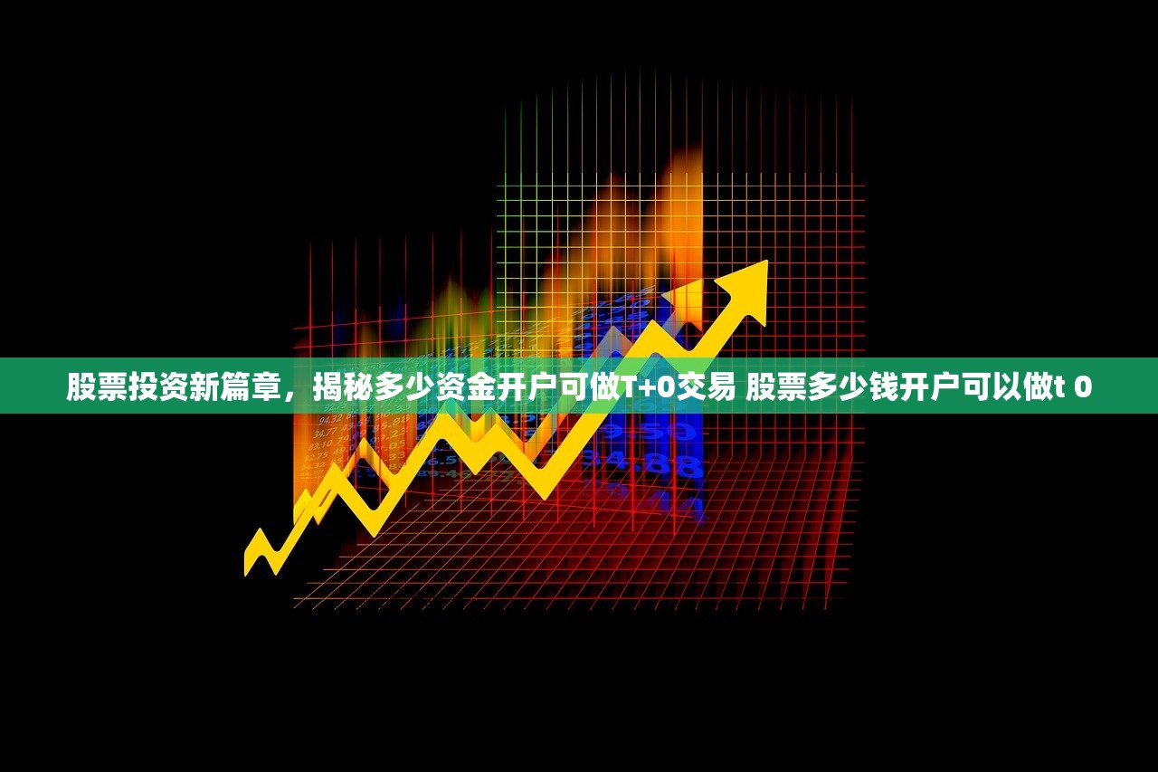 股票投资新篇章，揭秘多少资金开户可做T+0交易 股票多少钱开户可以做t 0