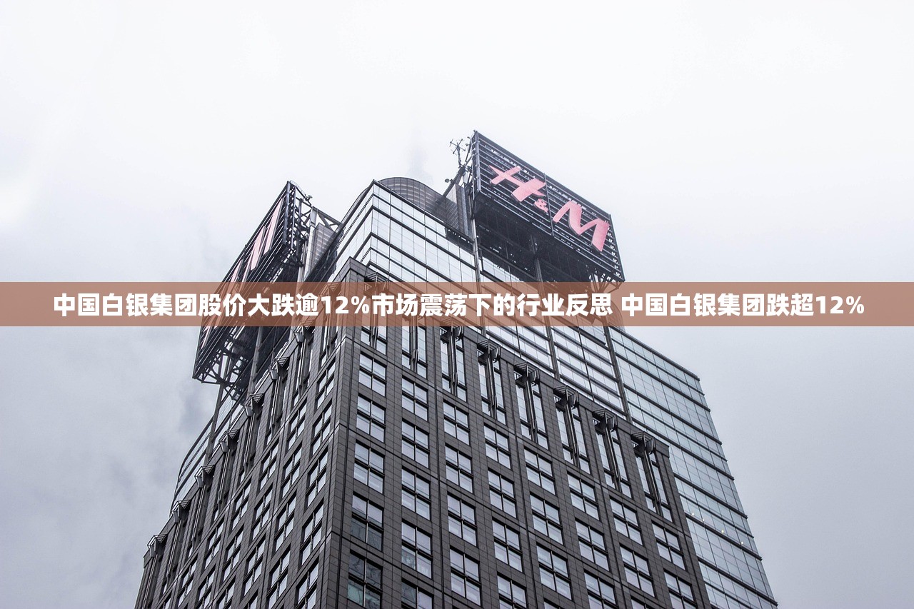 中国白银集团股价大跌逾12%市场震荡下的行业反思 中国白银集团跌超12%