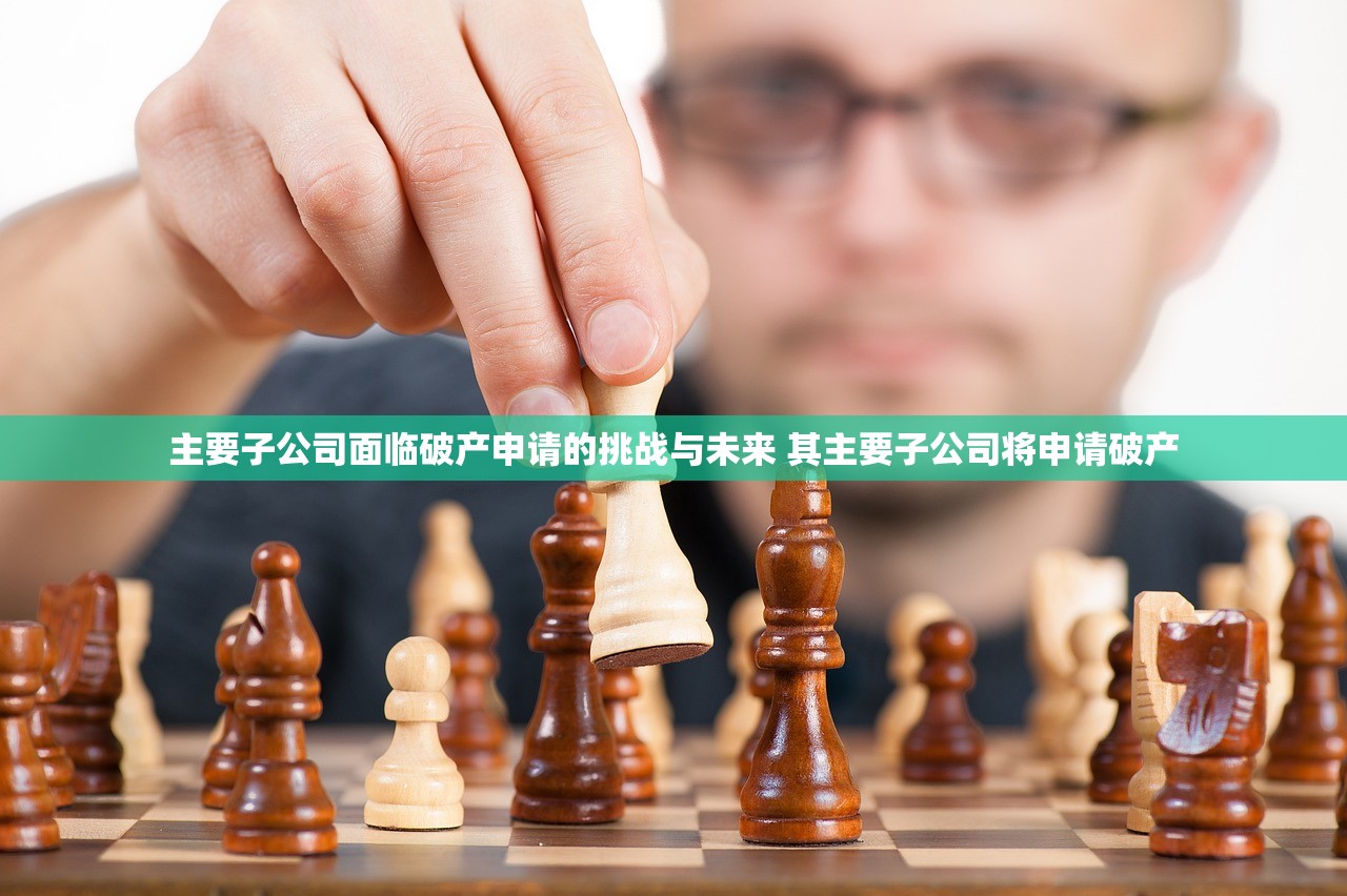 主要子公司面临破产申请的挑战与未来 其主要子公司将申请破产 主要子公司面临破产申请的挑战与未来 其主要子公司将申请破产