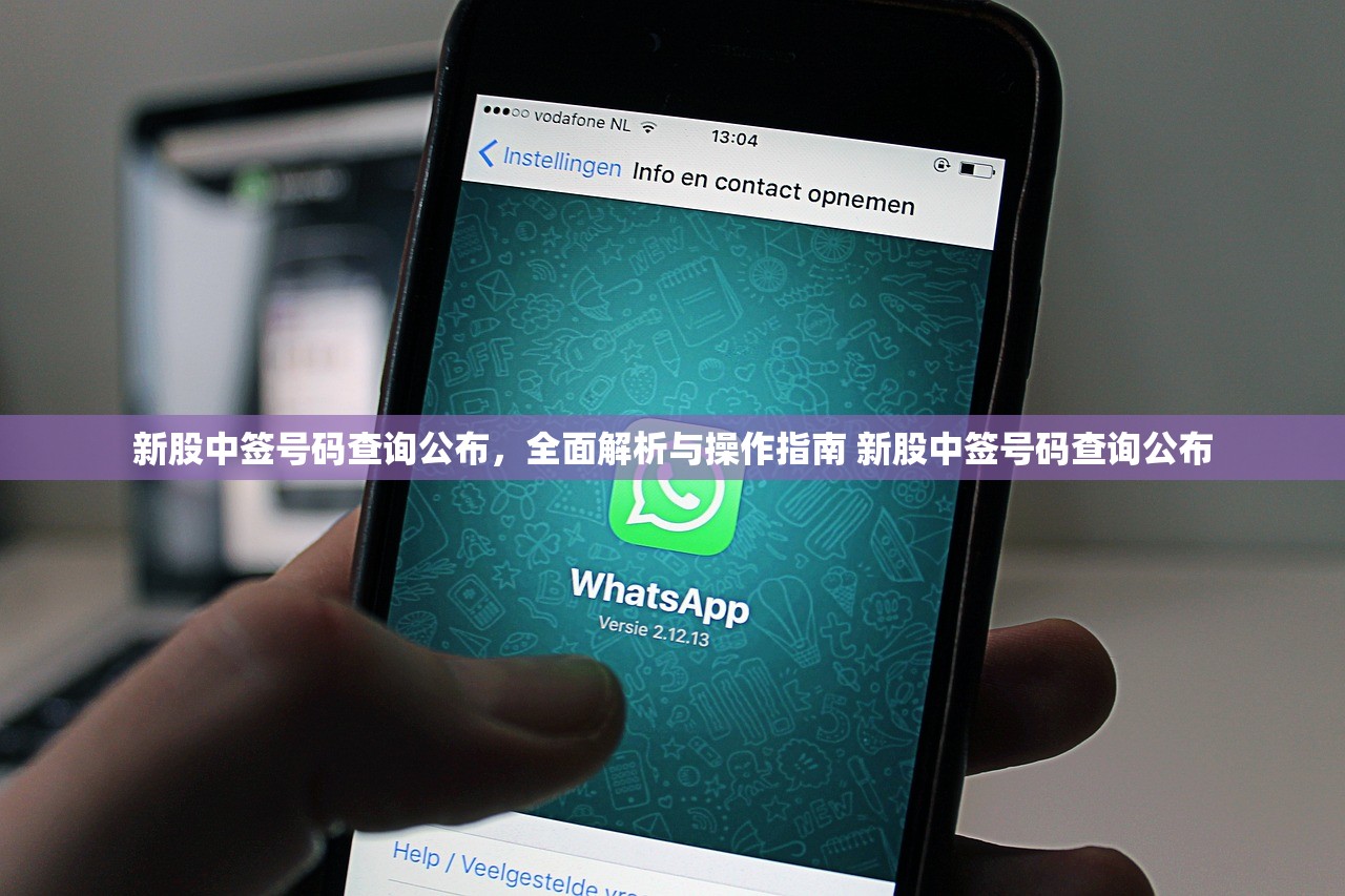 新股中签号码查询公布,全面解析与操作指南 新股中签号码查询公布 新股中签号码查询公布,全面解析与操作指南 新股中签号码查询公布