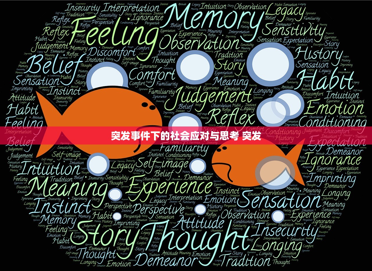 突发事件下的社会应对与思考 突发