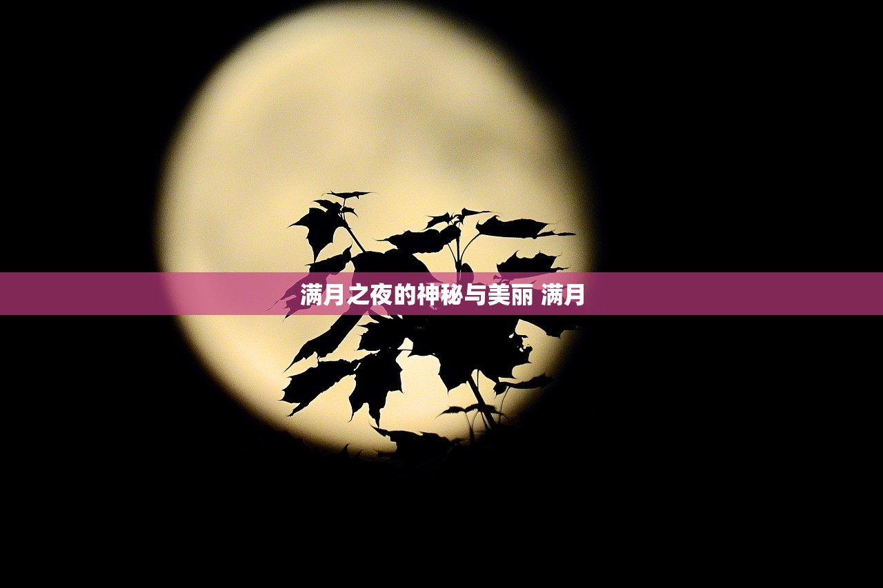 满月之夜的神秘与美丽 满月