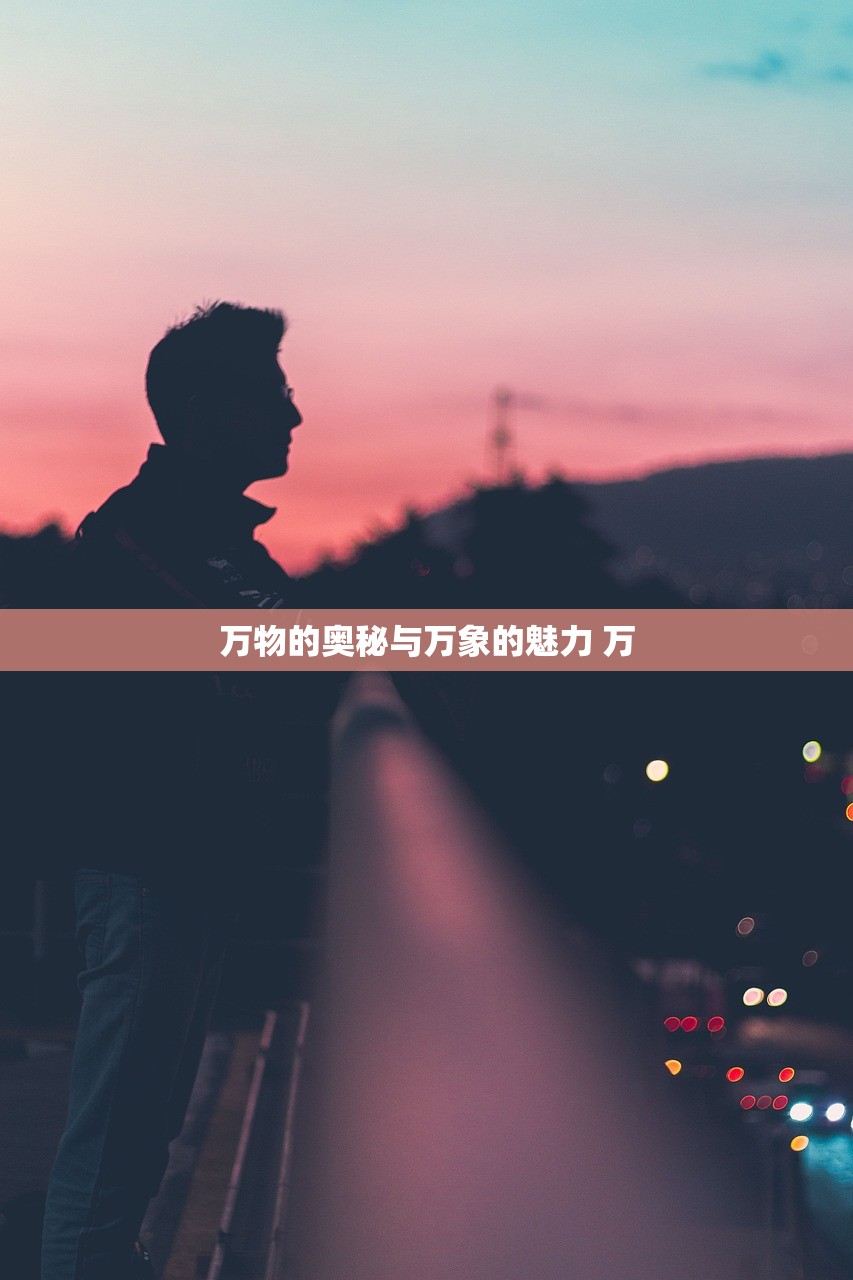 万物的奥秘与万象的魅力 万