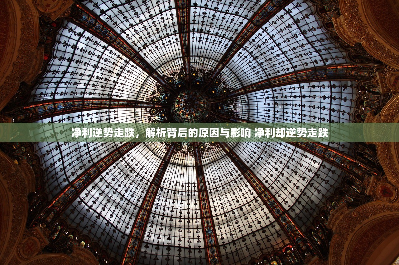 净利逆势走跌,解析背后的原因与影响 净利却逆势走跌 净利逆势走跌,解析背后的原因与影响 净利却逆势走跌