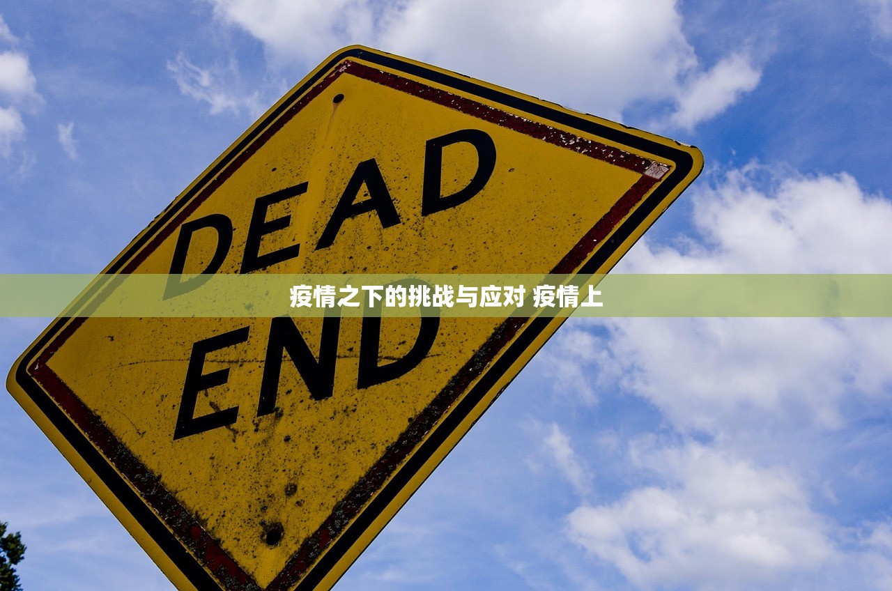 疫情之下的挑战与应对 疫情上