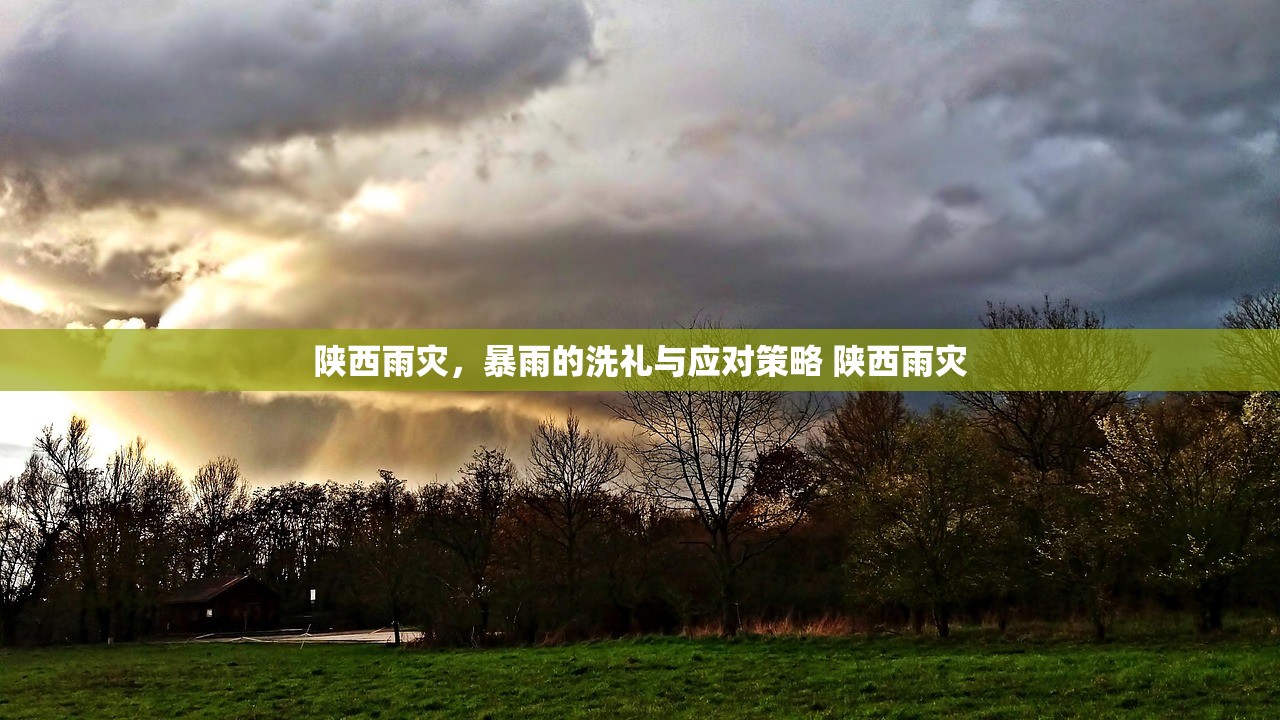 陕西雨灾，暴雨的洗礼与应对策略 陕西雨灾