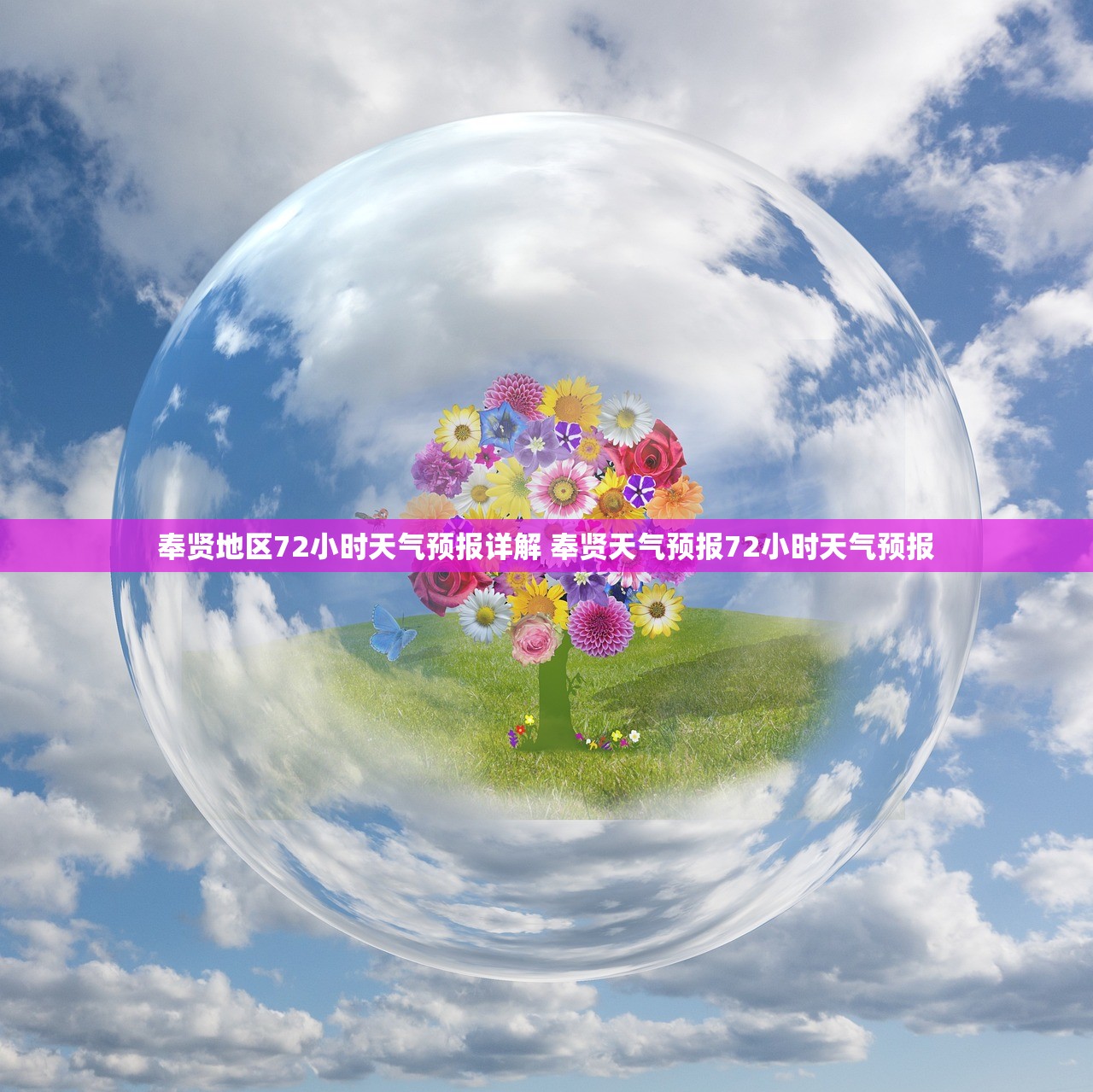 奉贤地区72小时天气预报详解 奉贤天气预报72小时天气预报