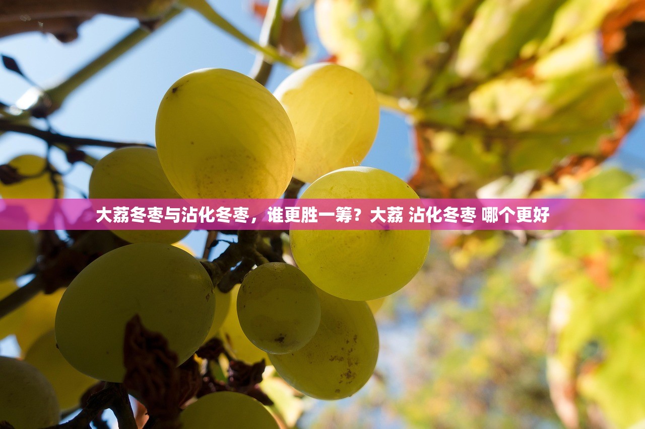 大荔冬枣与沾化冬枣，谁更胜一筹？大荔 沾化冬枣 哪个更好