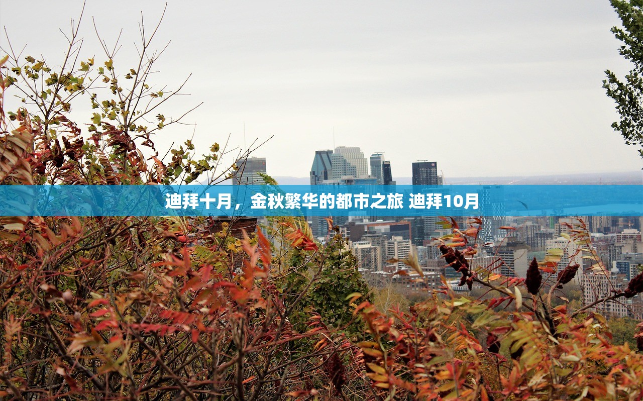 迪拜十月,金秋繁华的都市之旅 迪拜10月 迪拜十月,金秋繁华的都市之旅 迪拜10月