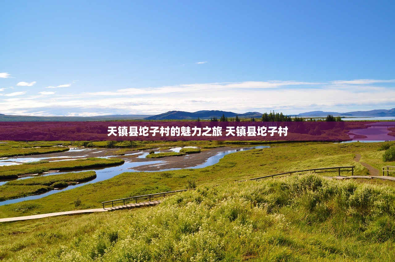 天镇县坨子村的魅力之旅 天镇县坨子村