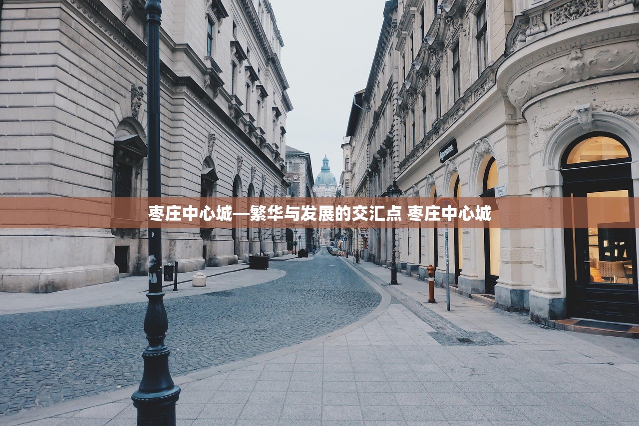 枣庄中心城—繁华与发展的交汇点 枣庄中心城