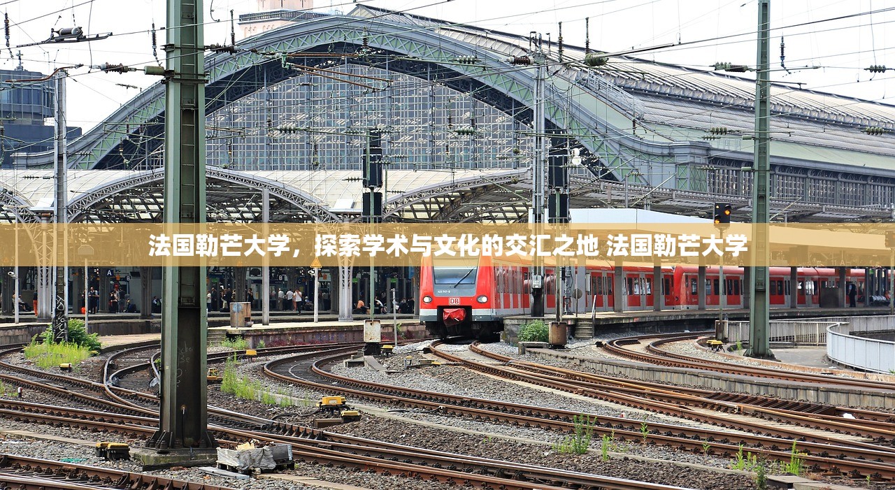 法国勒芒大学，探索学术与文化的交汇之地 法国勒芒大学