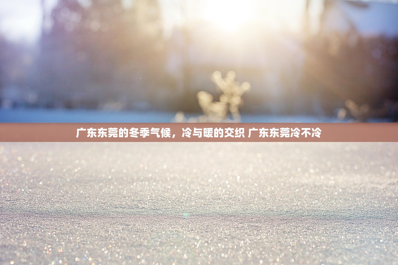 广东东莞的冬季气候，冷与暖的交织 广东东莞冷不冷