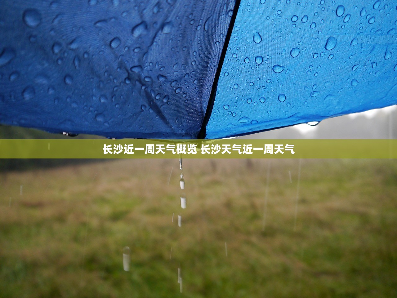 长沙近一周天气概览 长沙天气近一周天气
