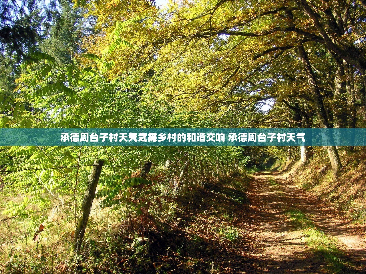 承德周台子村天气之探
承德周台子村，天气与乡村的和谐交响 承德周台子村天气