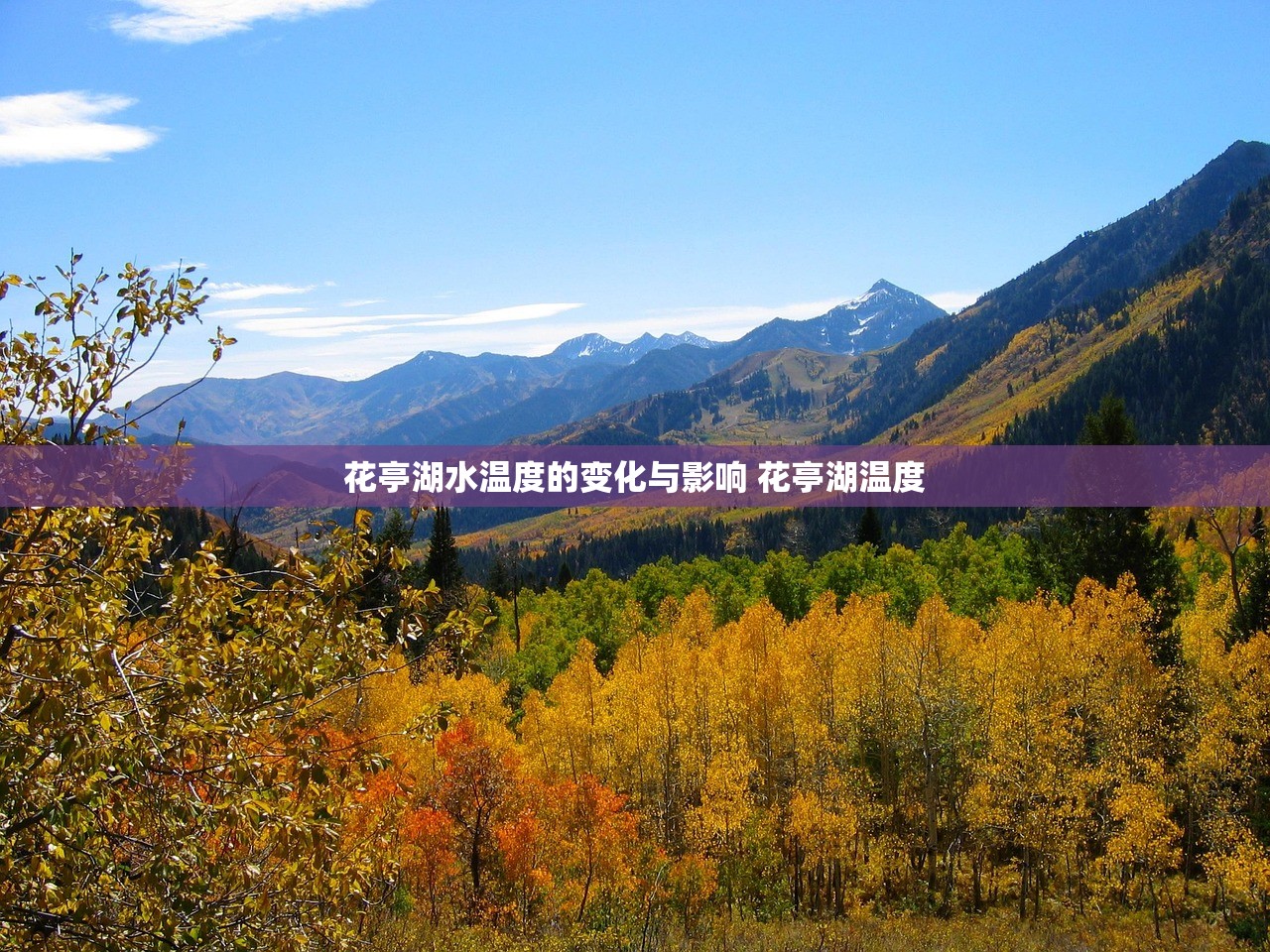 花亭湖水温度的变化与影响 花亭湖温度