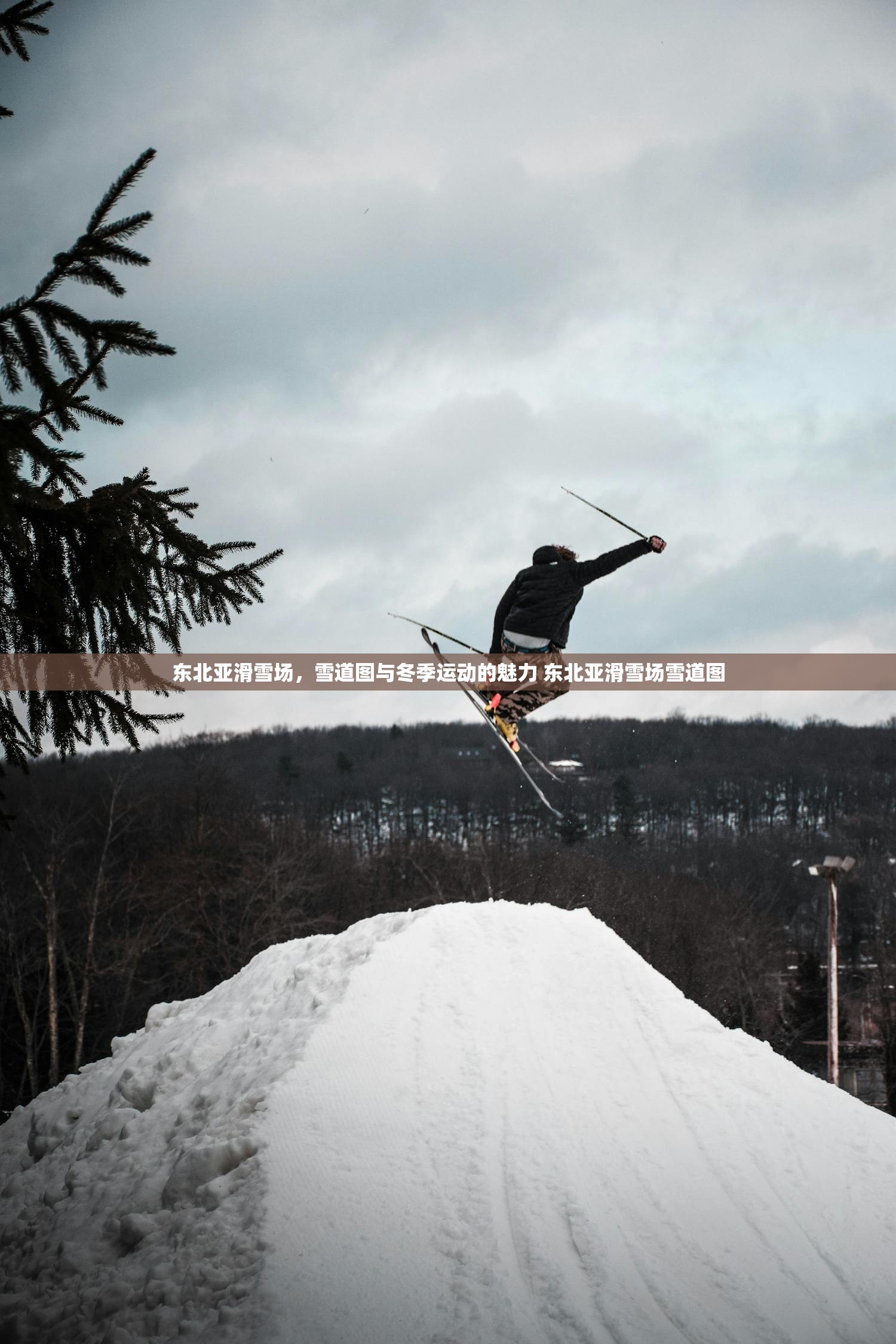 东北亚滑雪场，雪道图与冬季运动的魅力 东北亚滑雪场雪道图