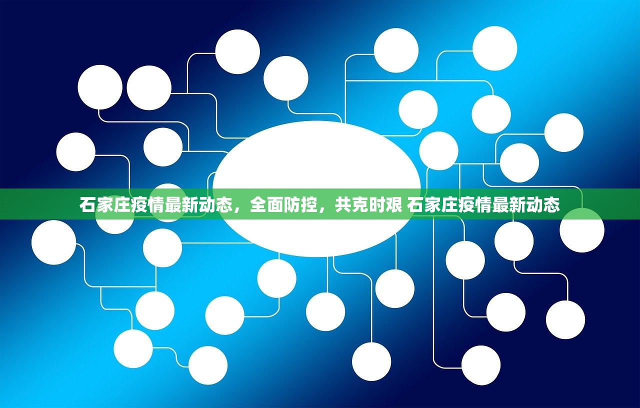 石家庄疫情最新动态,全面防控,共克时艰 石家庄疫情最新动态 石家庄疫情最新动态,全面防控,共克时艰 石家庄疫情最新动态