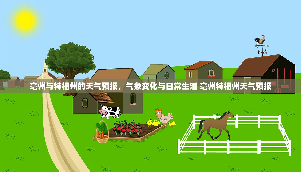 亳州与特福州的天气预报，气象变化与日常生活 亳州特福州天气预报