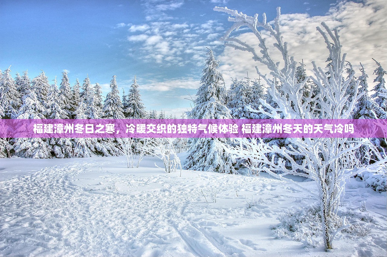 福建漳州冬日之寒，冷暖交织的独特气候体验 福建漳州冬天的天气冷吗