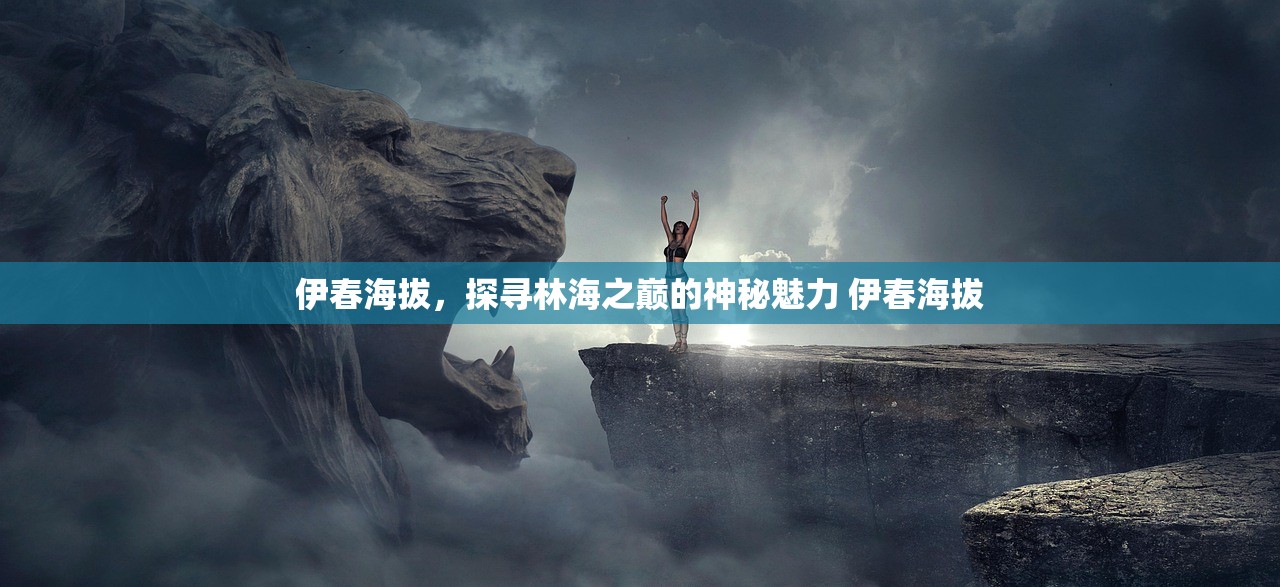 伊春海拔，探寻林海之巅的神秘魅力 伊春海拔