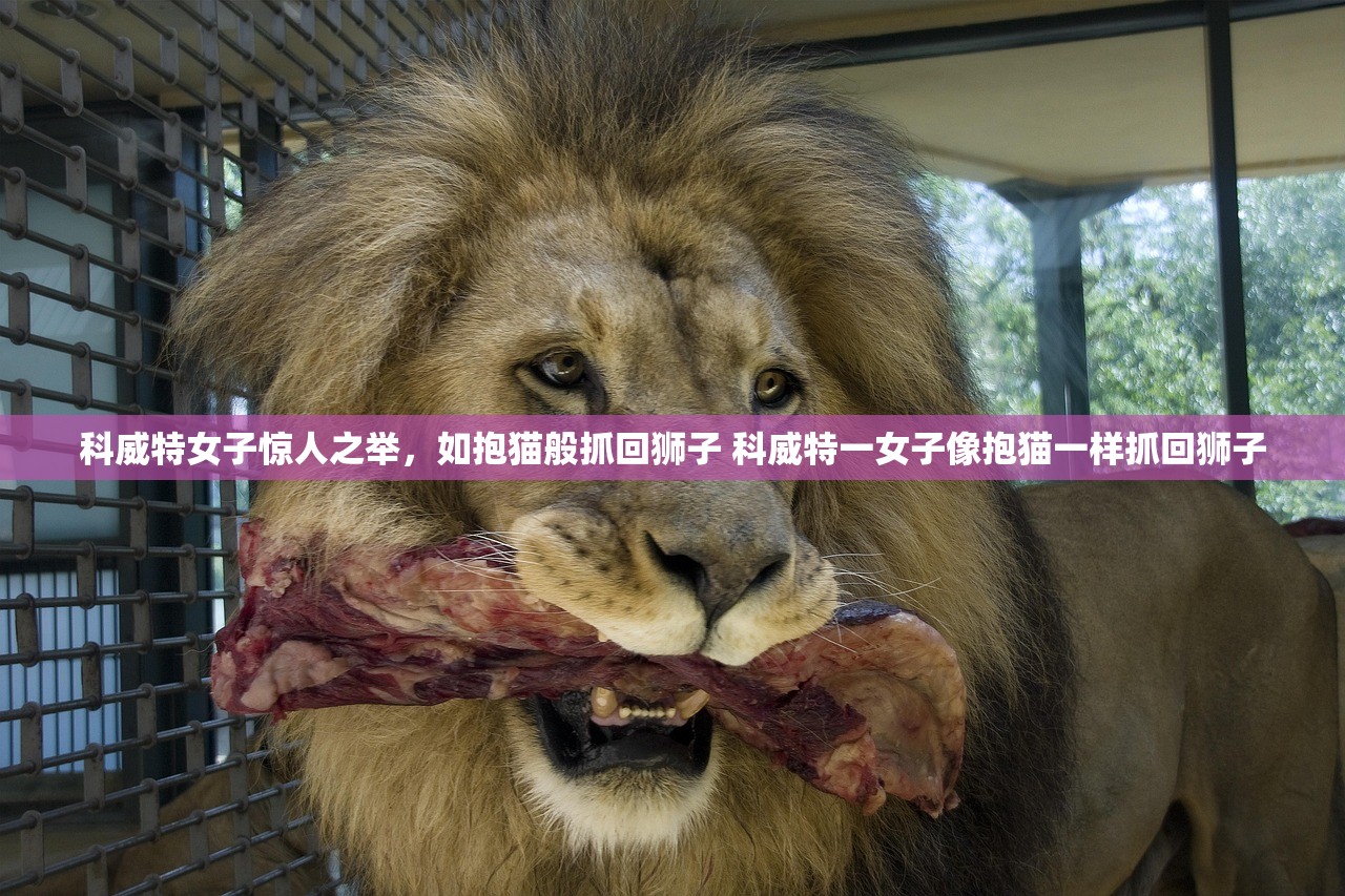 科威特女子惊人之举，如抱猫般抓回狮子 科威特一女子像抱猫一样抓回狮子