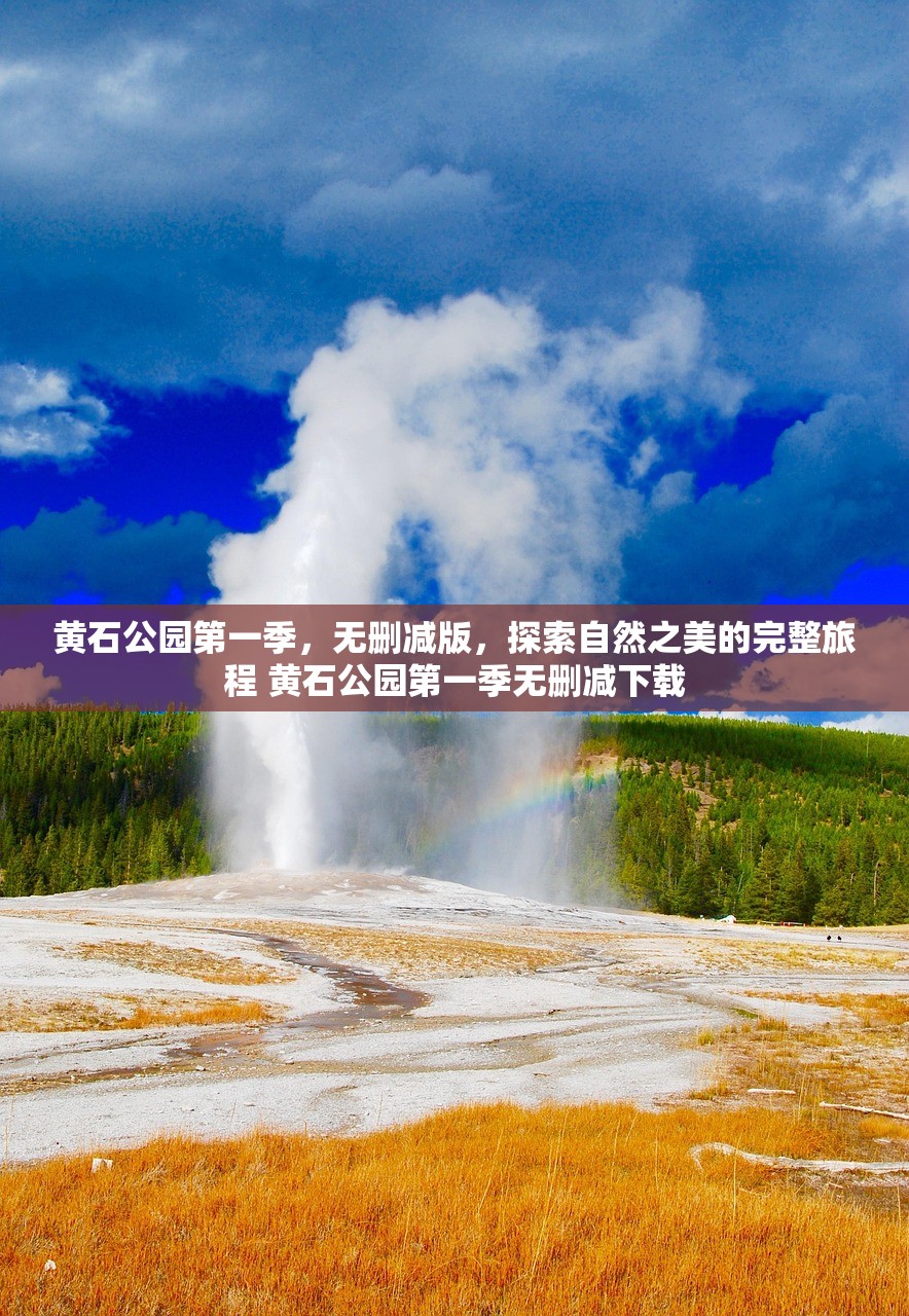 黄石公园第一季，无删减版，探索自然之美的完整旅程 黄石公园第一季无删减下载