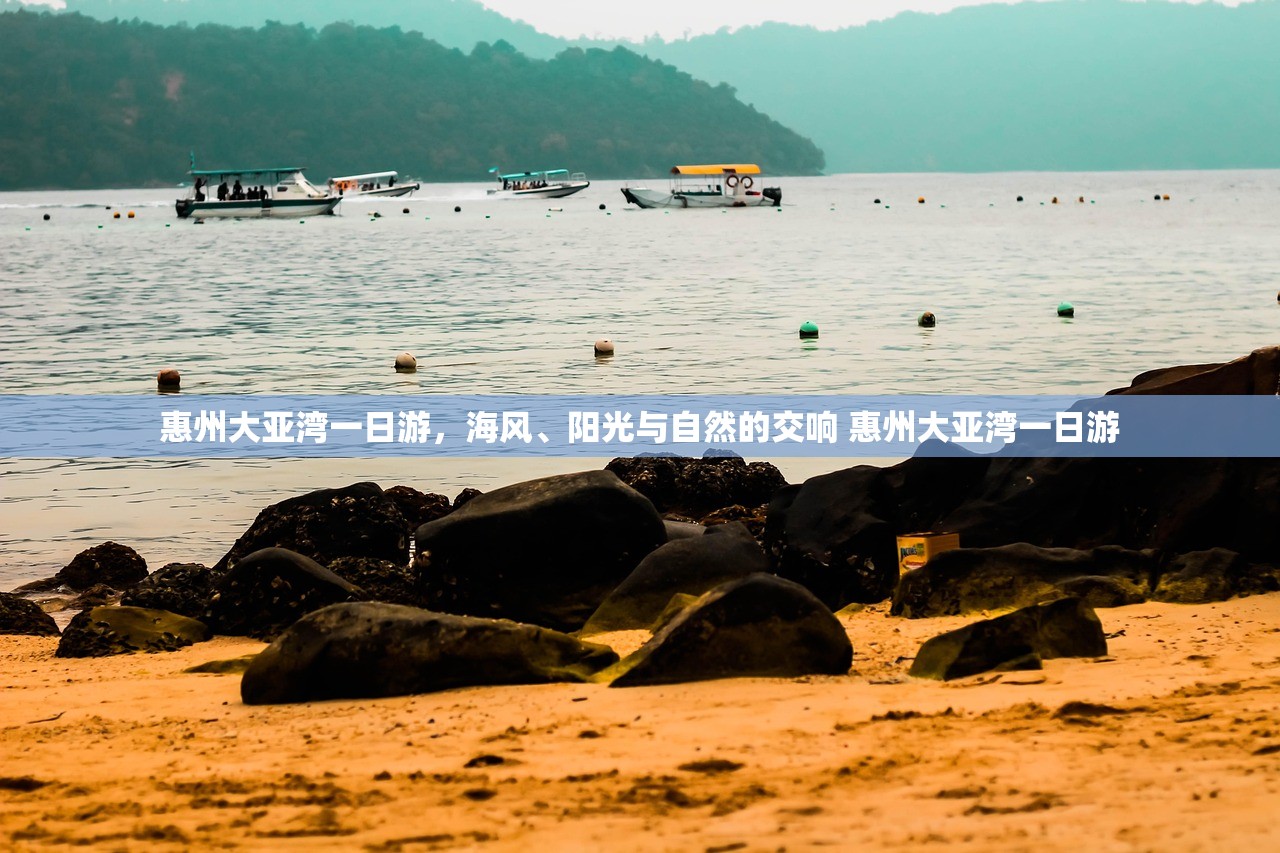 惠州大亚湾一日游，海风、阳光与自然的交响 惠州大亚湾一日游