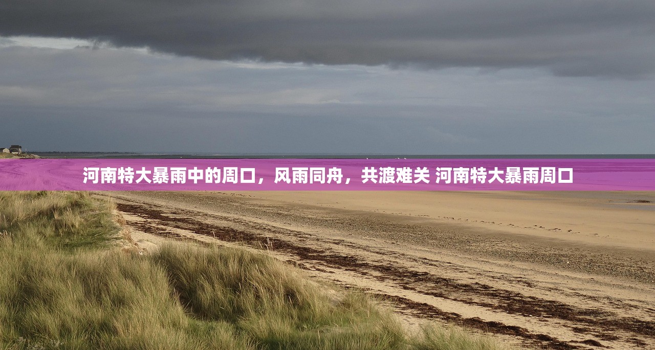 河南特大暴雨中的周口，风雨同舟，共渡难关 河南特大暴雨周口