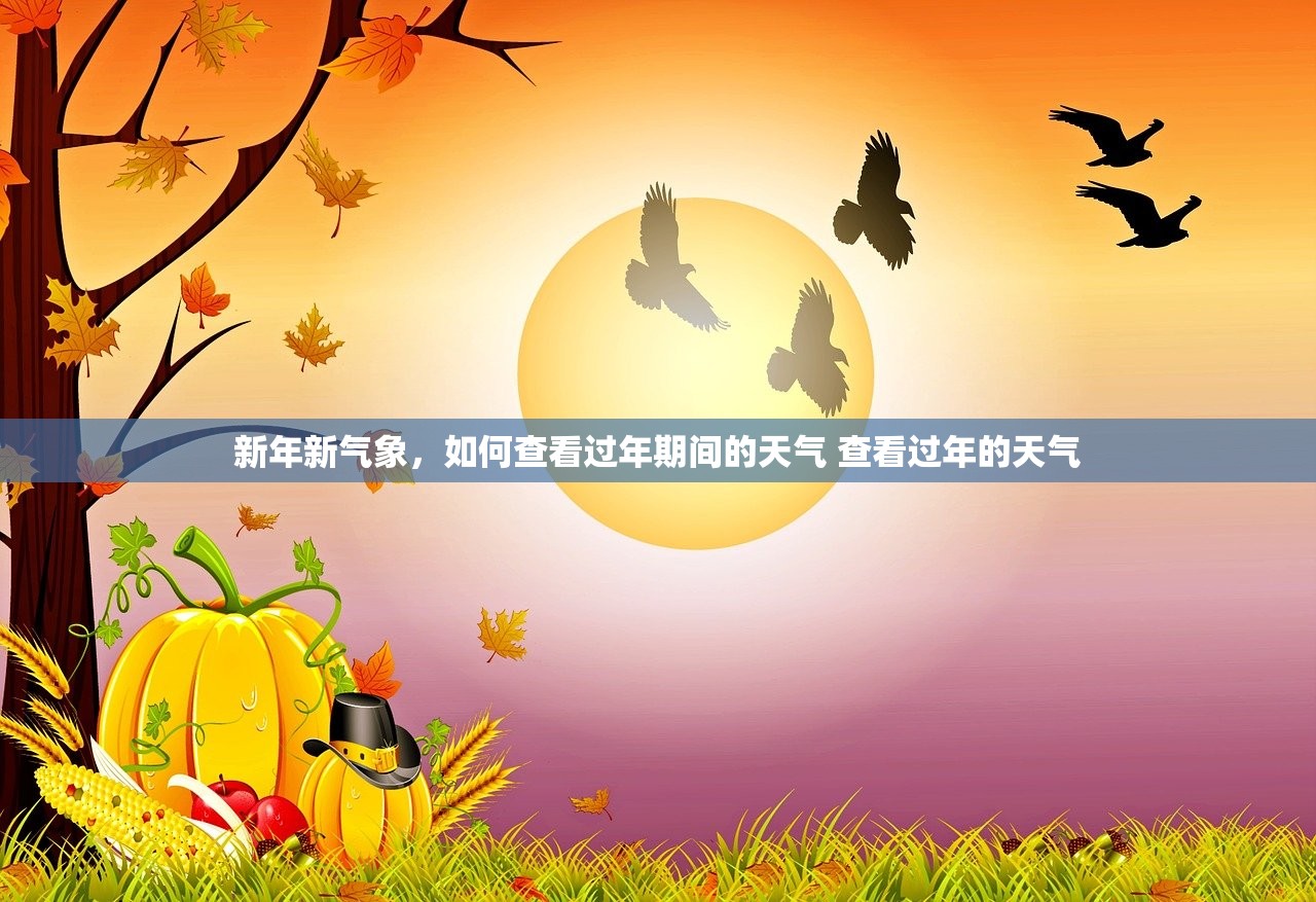新年新气象，如何查看过年期间的天气 查看过年的天气