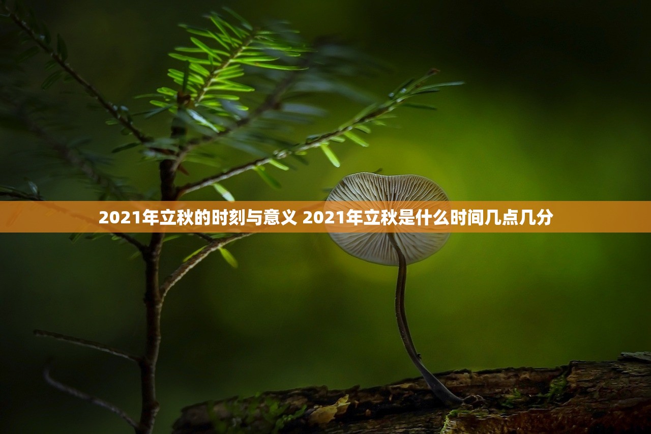 2021年立秋的时刻与意义 2021年立秋是什么时间几点几分