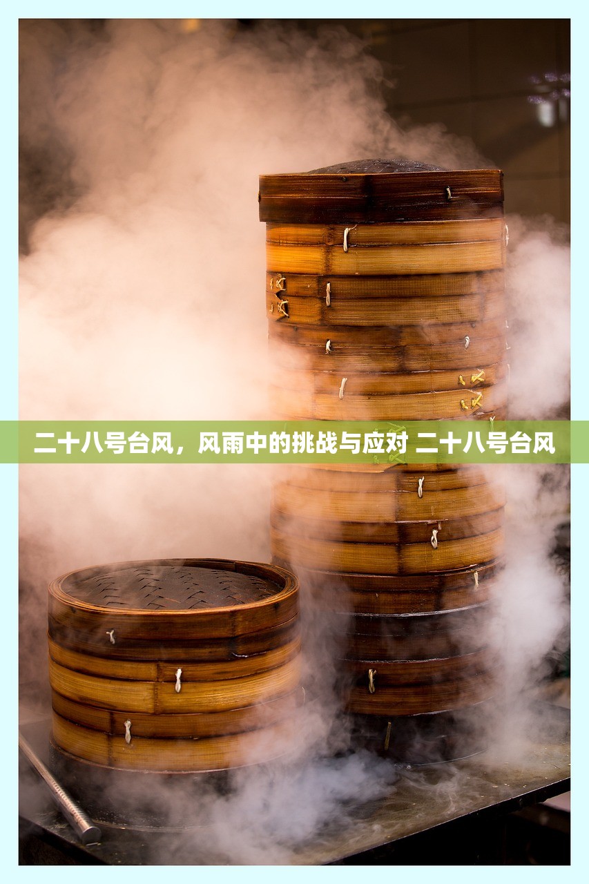 二十八号台风，风雨中的挑战与应对 二十八号台风